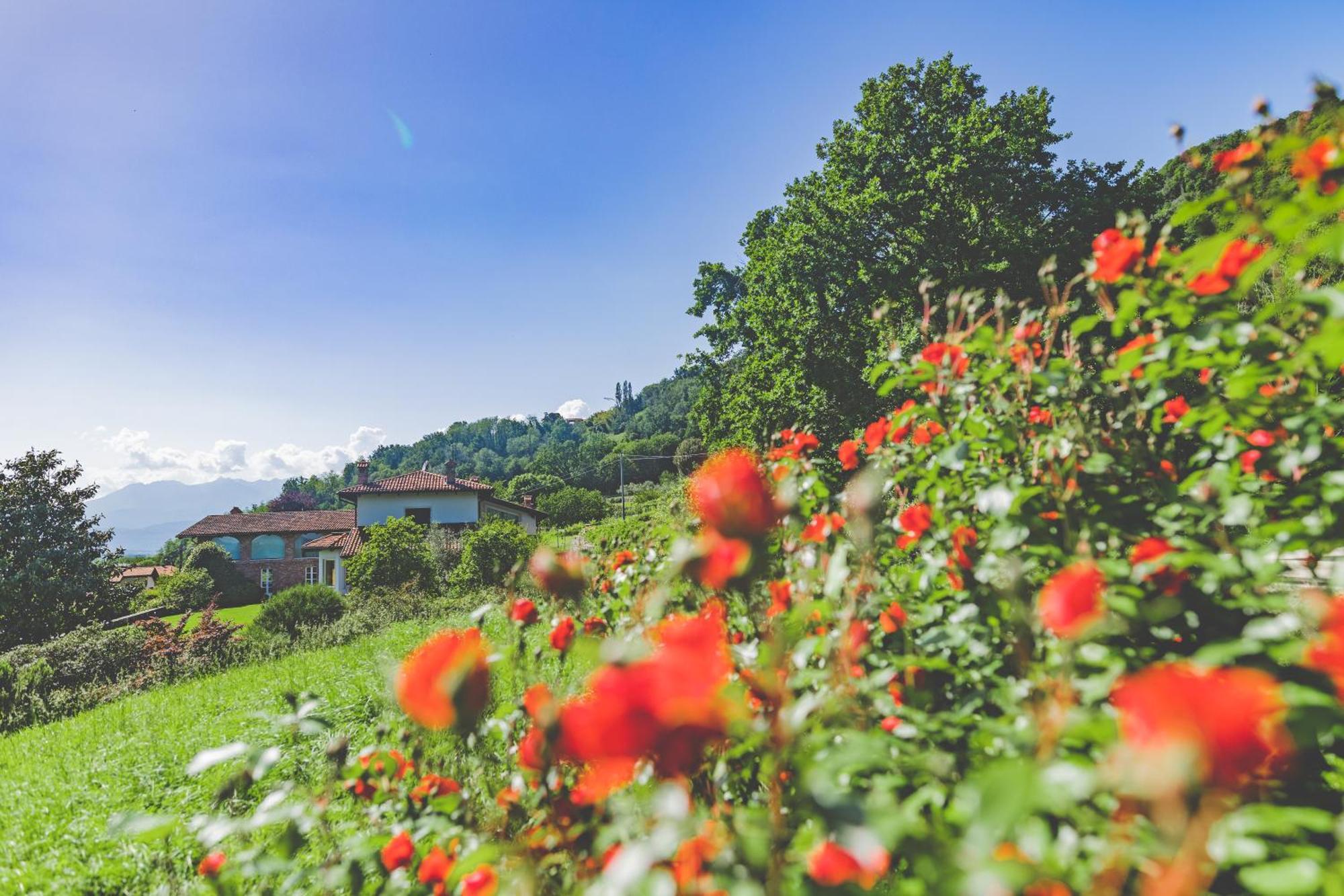 Myvilla Suites Palazzo Canavese Exterior foto